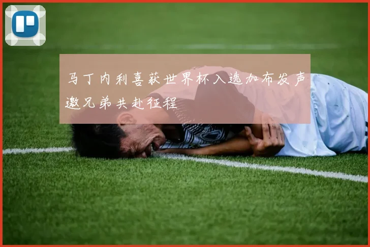 马丁内利喜获世界杯入选加布发声邀兄弟共赴征程